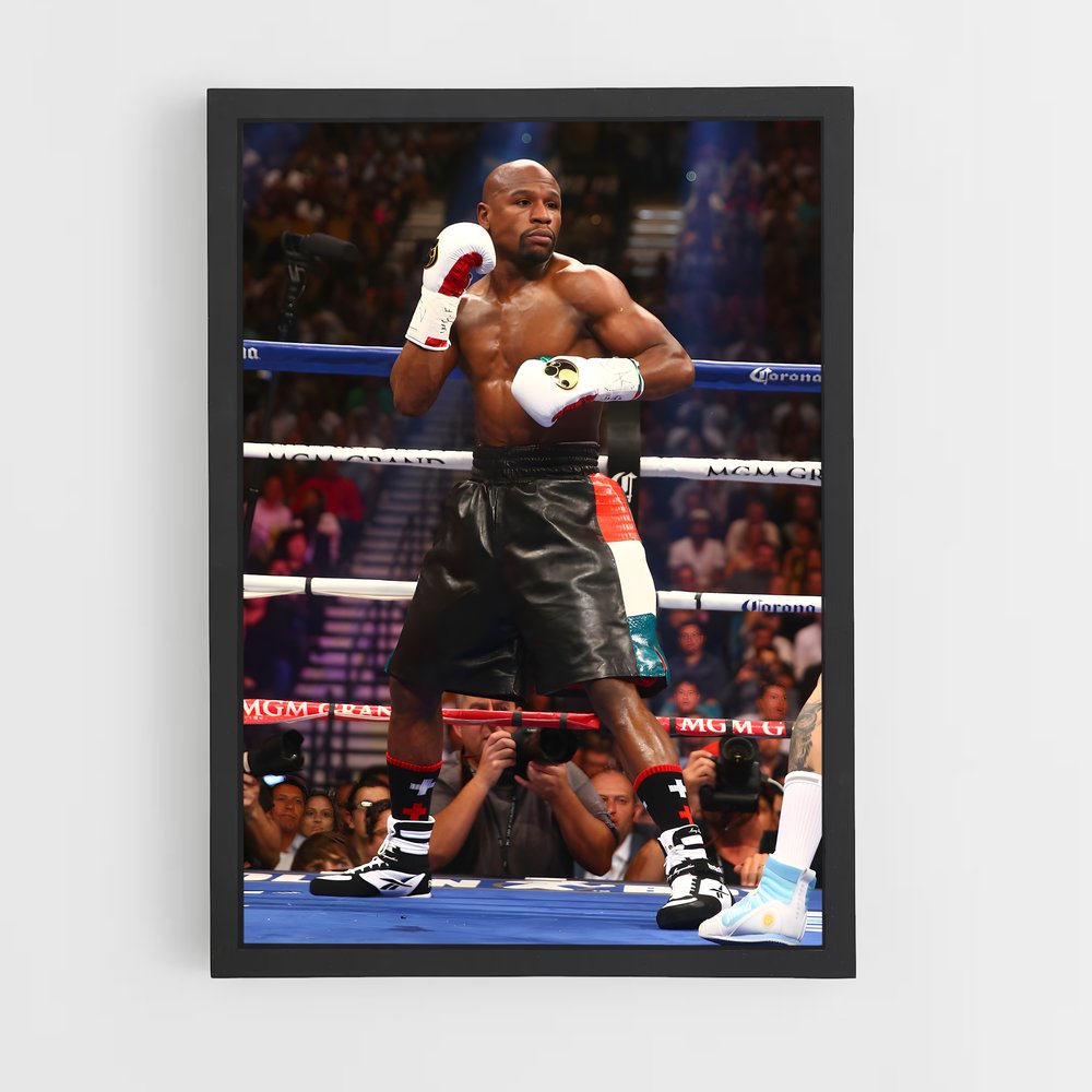 Poster Floyd mayweather (vue 2)